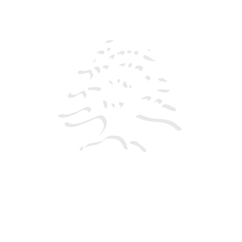 Montessori for Lebanon white logo with cedar tree icon and text.